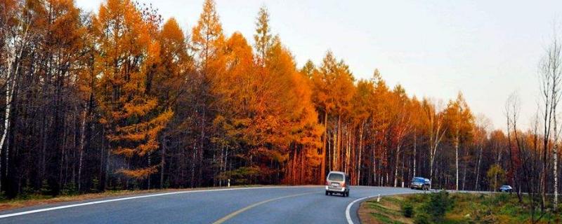 農(nóng)村公路養(yǎng)護模式幾種